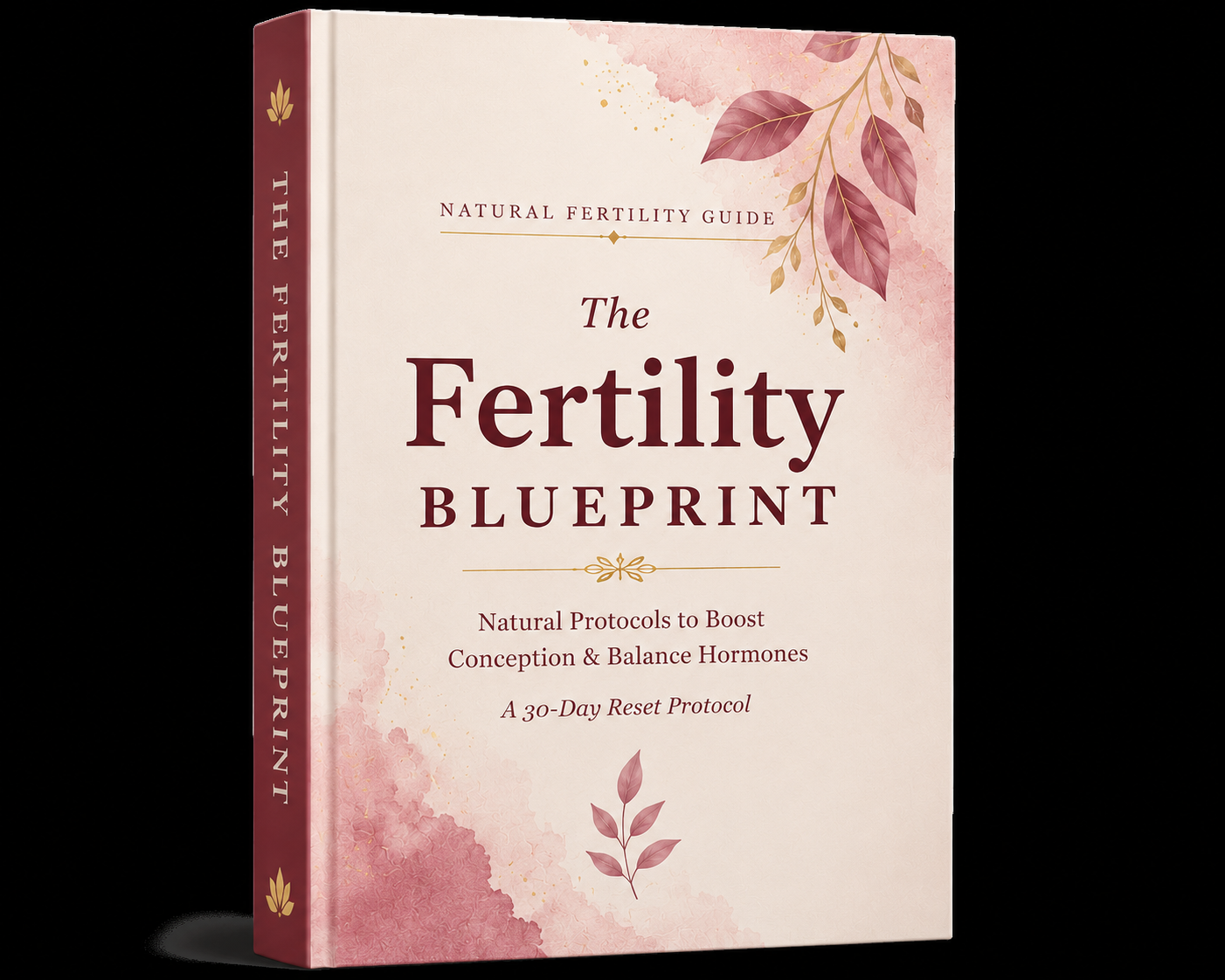 The Fertility Blueprint Book Cover